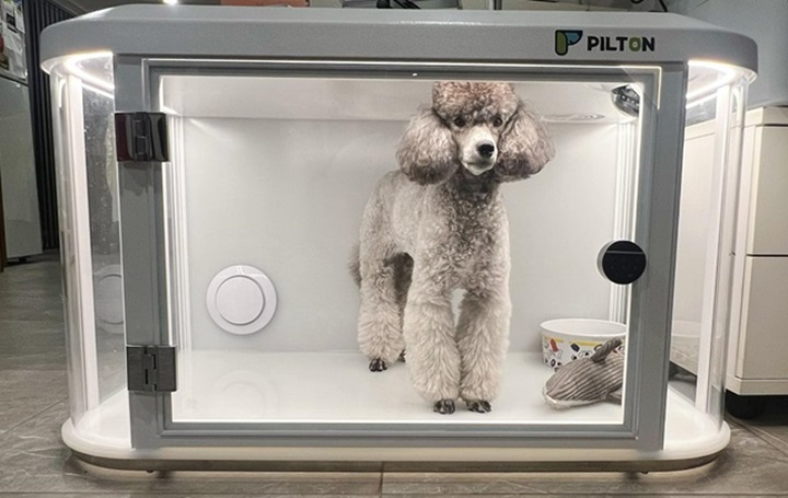 a white dog laying in a pet crate