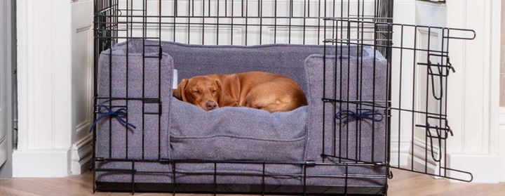 a dog laying in a cage